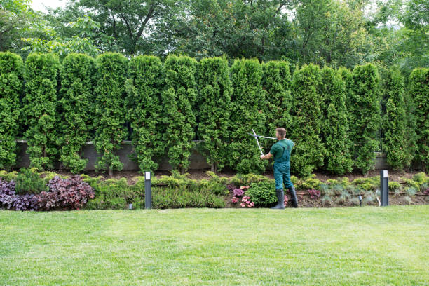 Best Tree and Shrub Care  in Eagle, NE